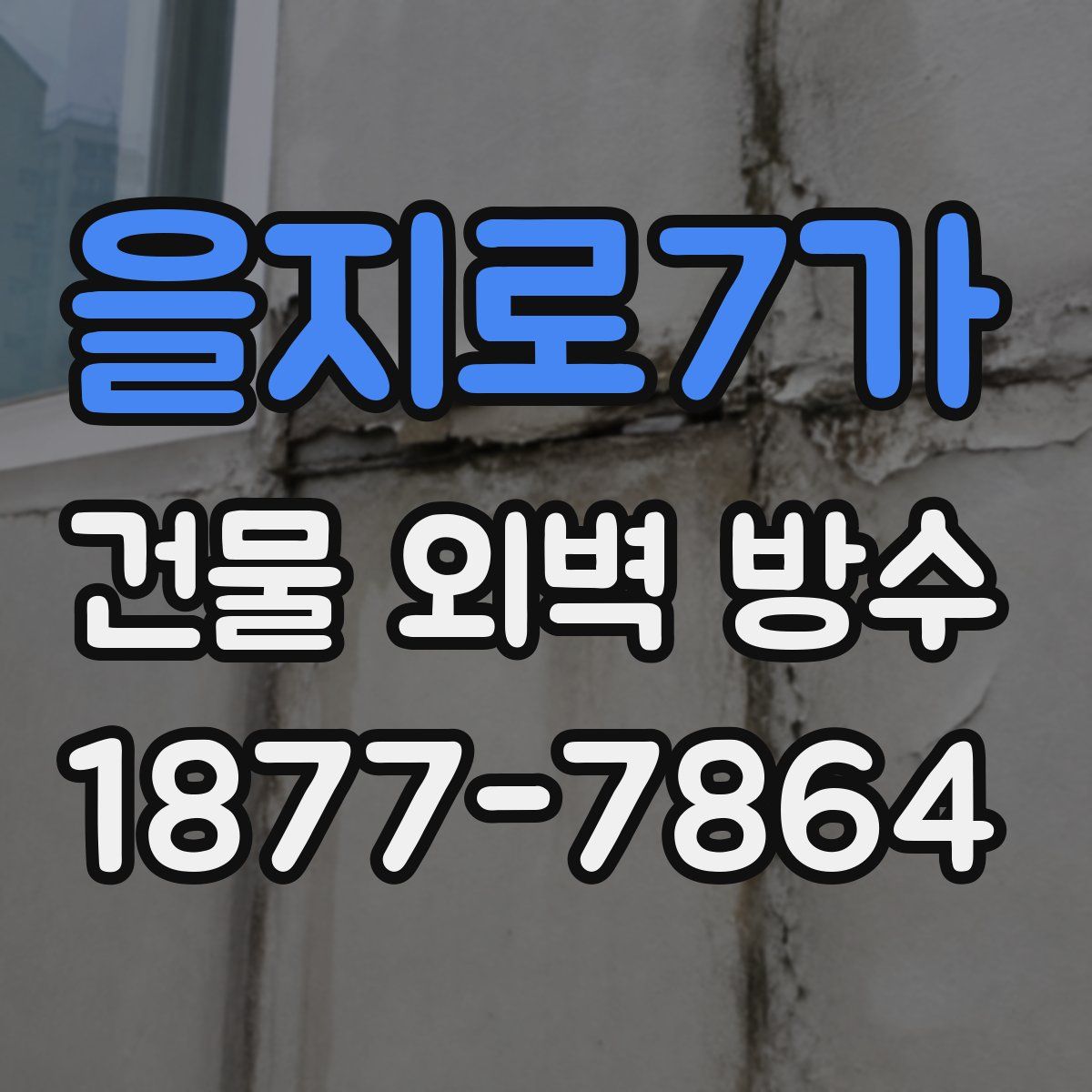 을지로7가 건물 외벽 방수