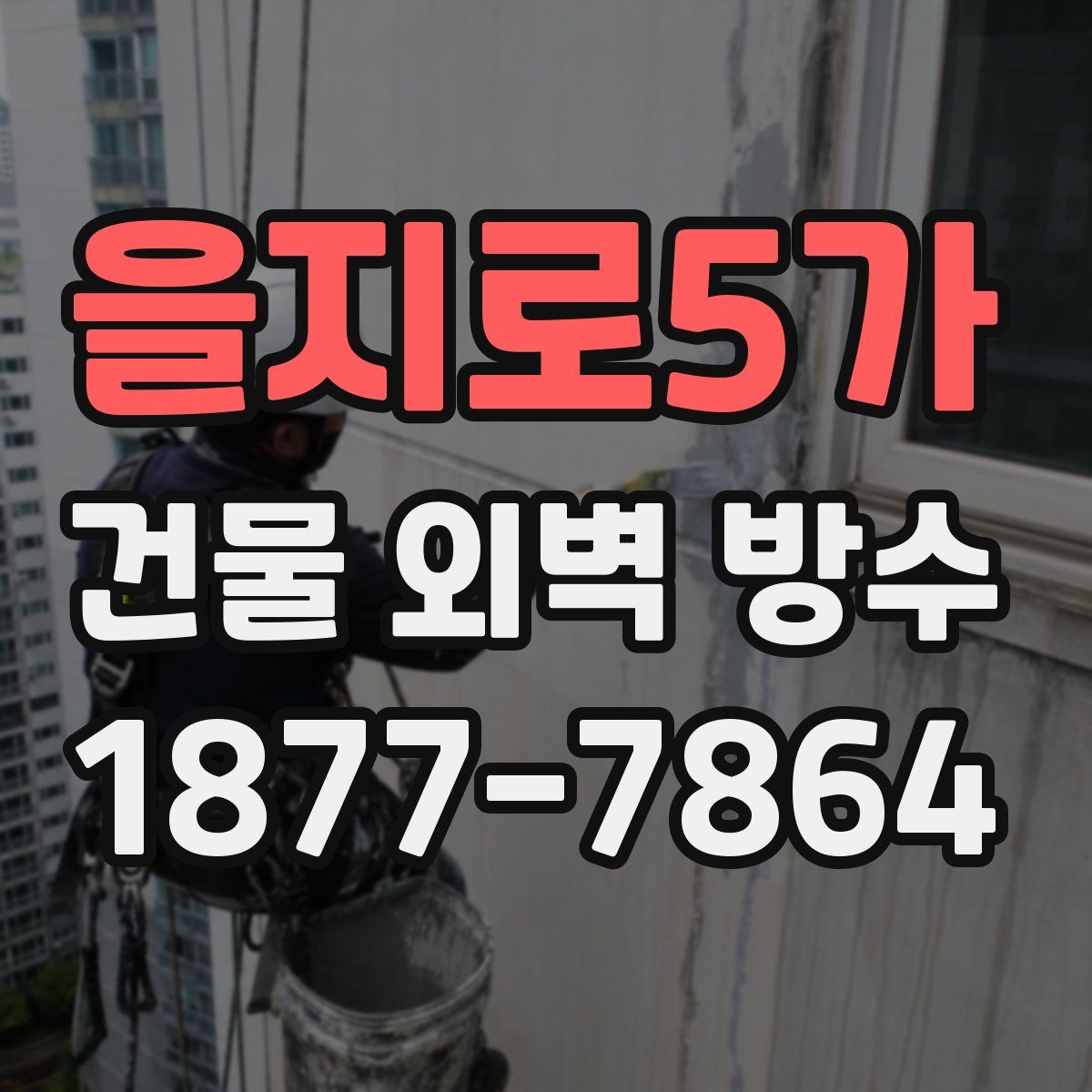 을지로5가 건물 외벽 방수