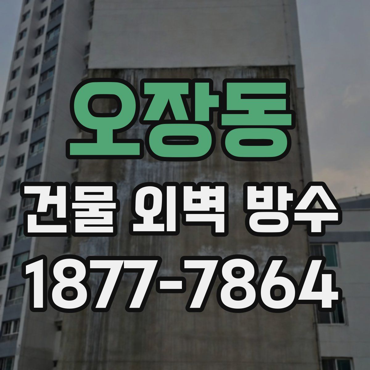 오장동 건물 외벽 방수