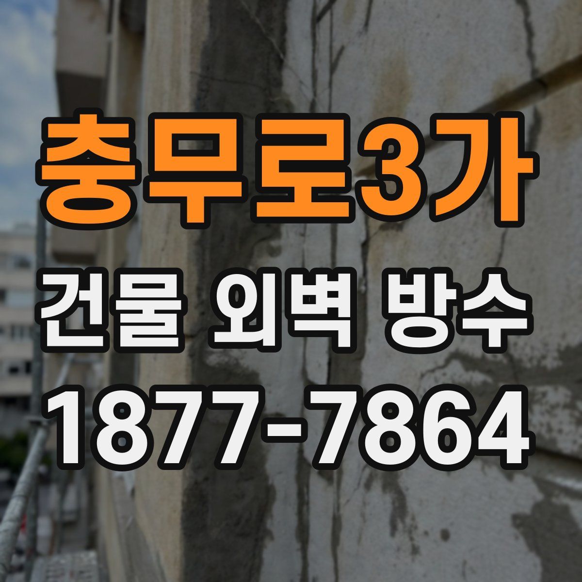 충무로3가 건물 외벽 방수