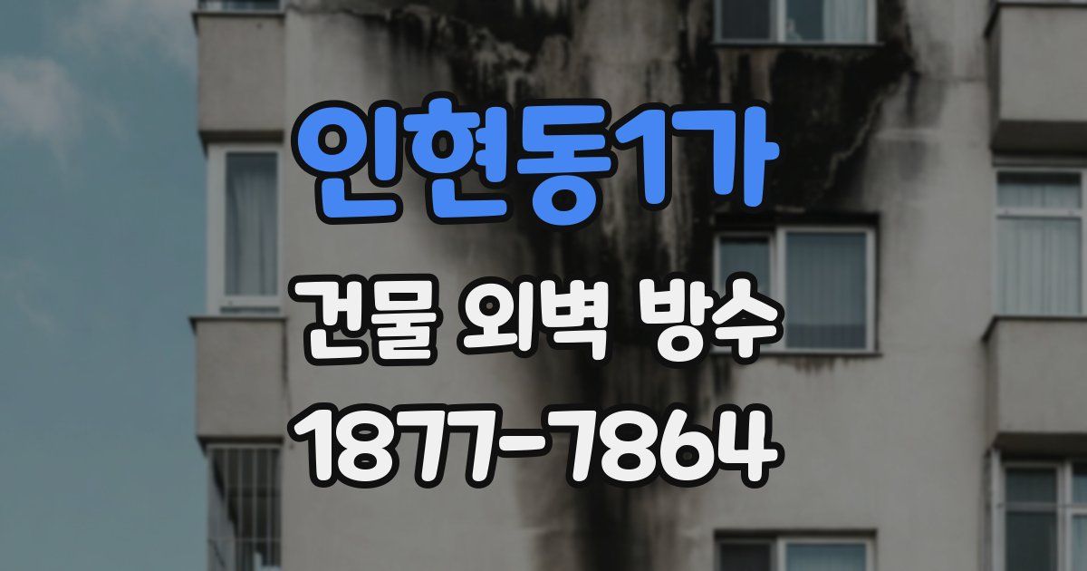인현동1가 건물 외벽 방수