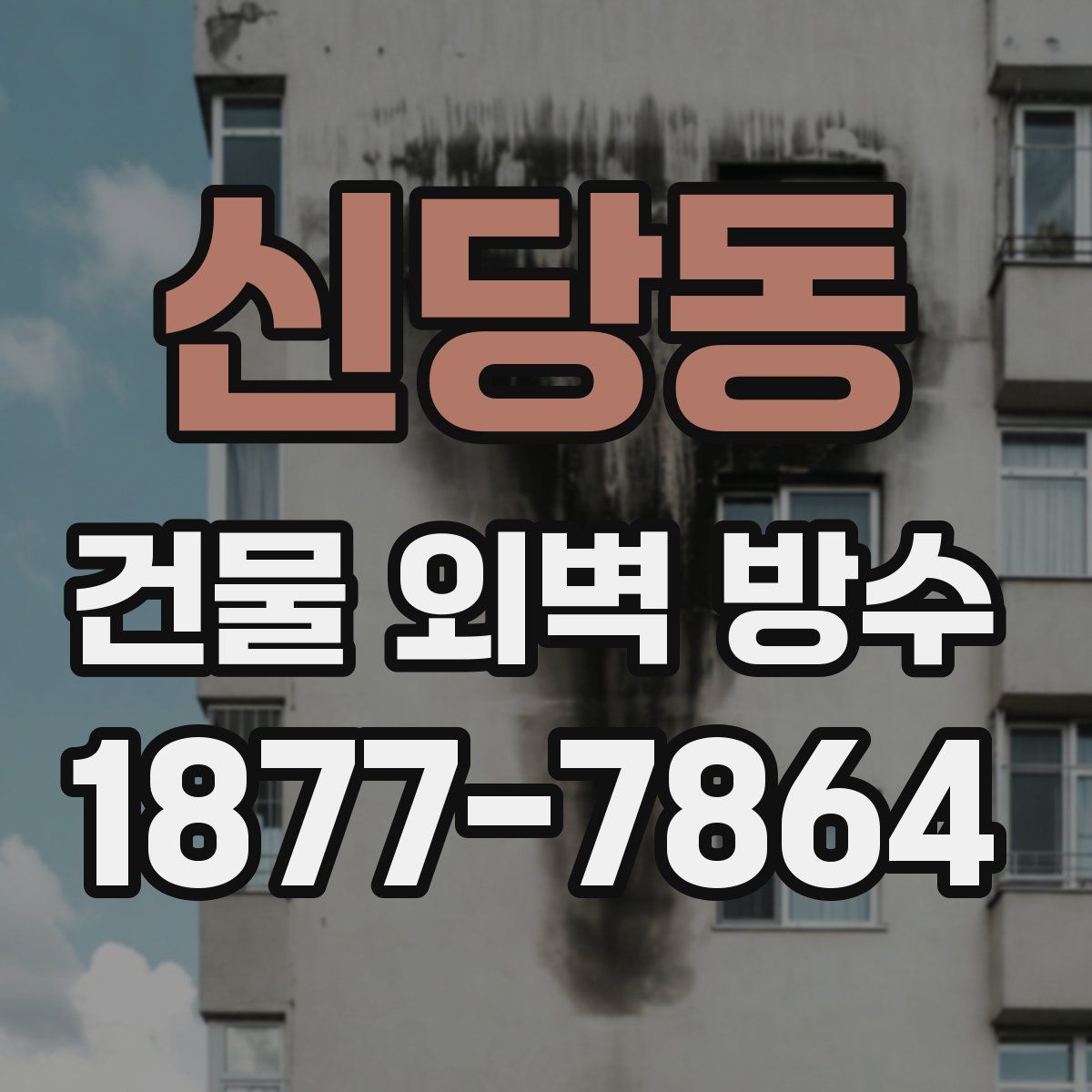 신당동 건물 외벽 방수
