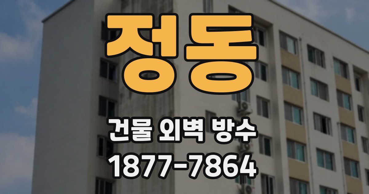 정동 건물 외벽 방수