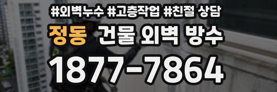 정동 건물 외벽 방수