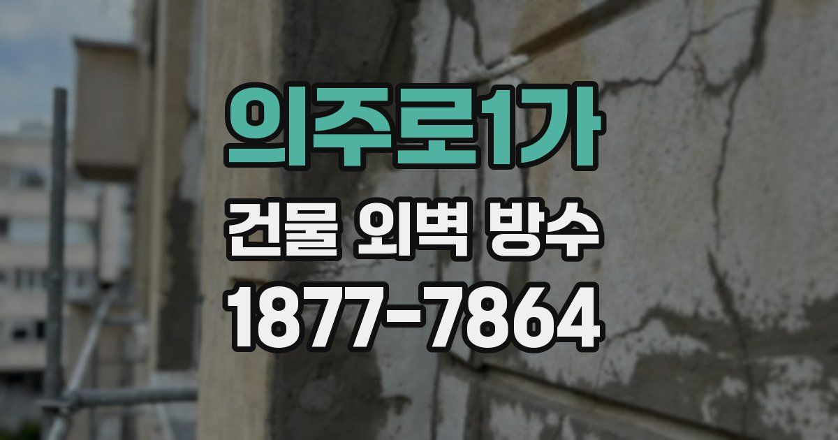 의주로1가 건물 외벽 방수