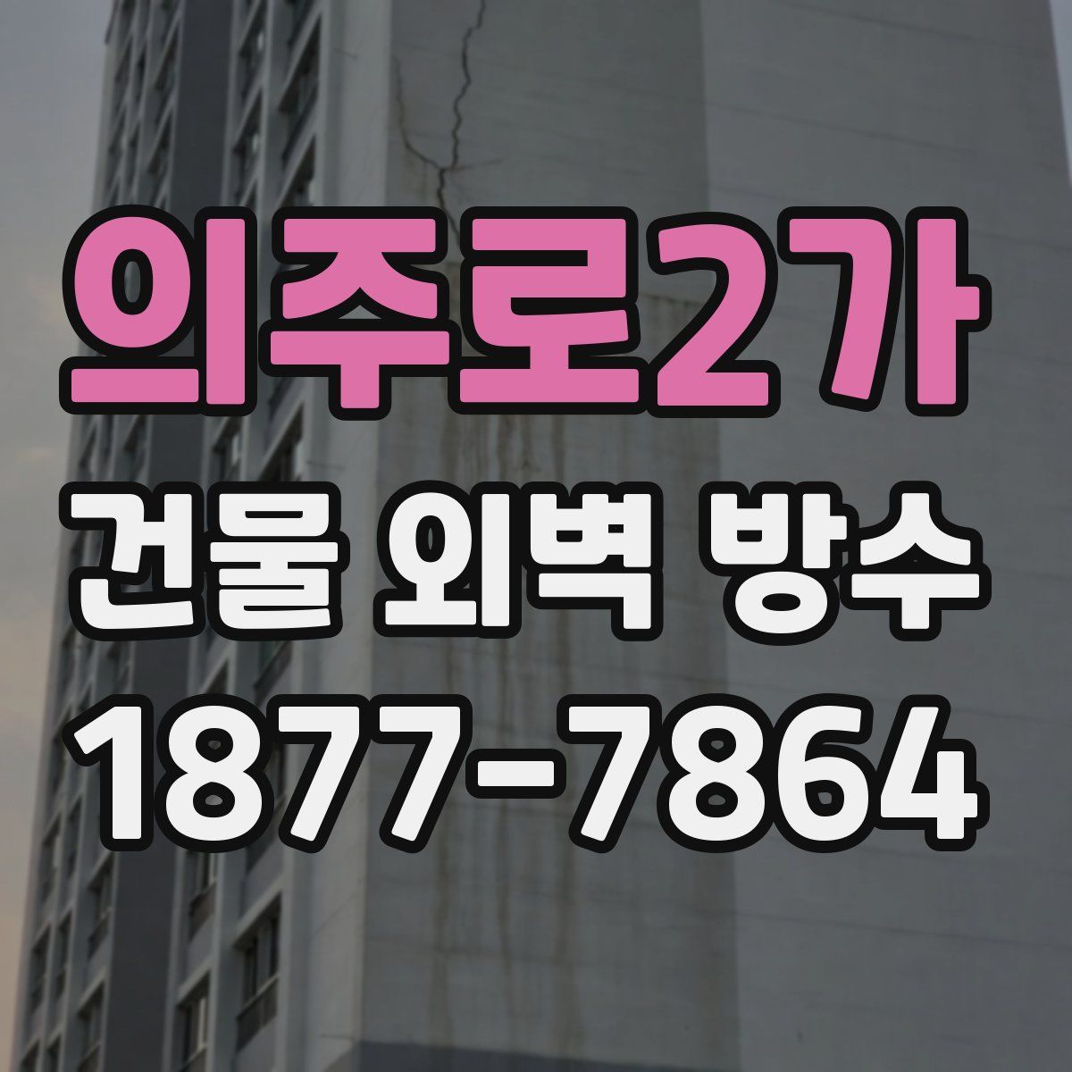 의주로2가 건물 외벽 방수
