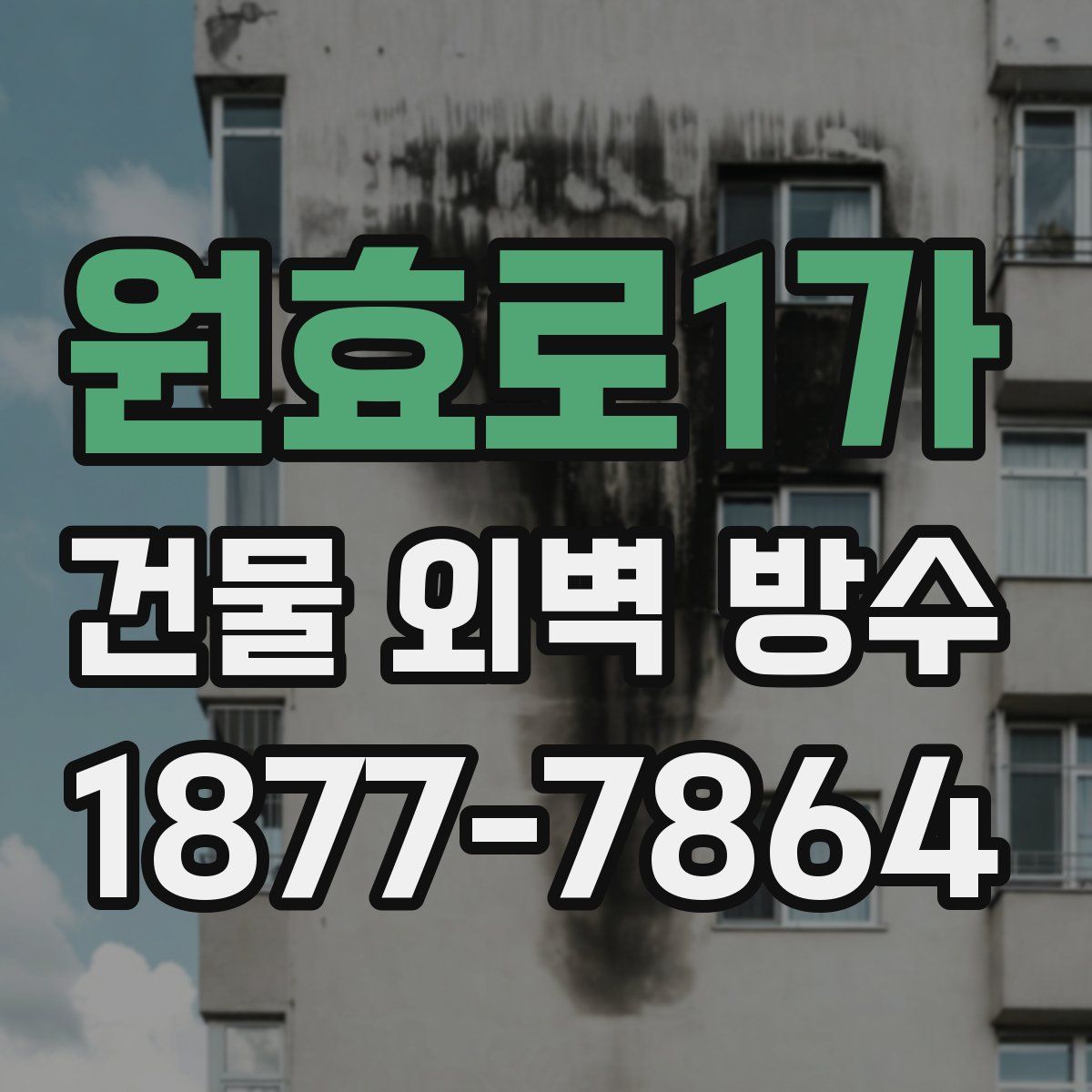원효로1가 건물 외벽 방수