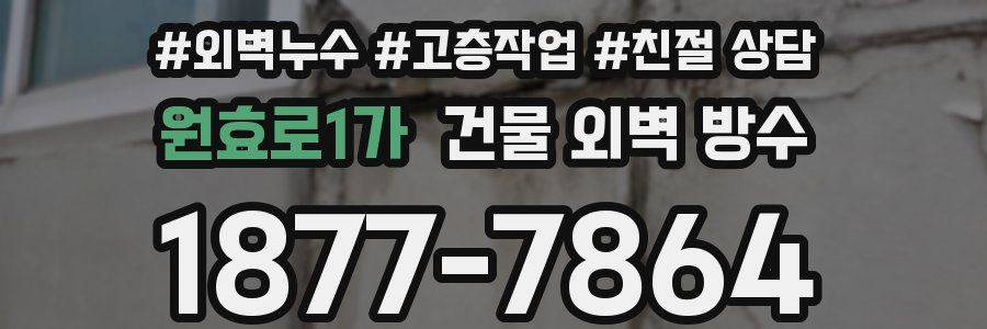 원효로1가 건물 외벽 방수