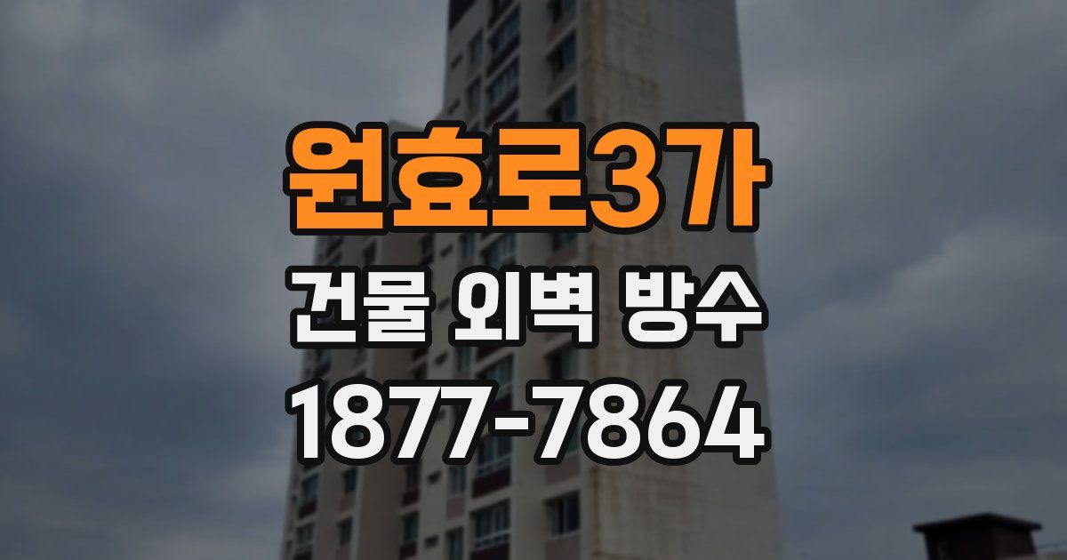 원효로3가 건물 외벽 방수