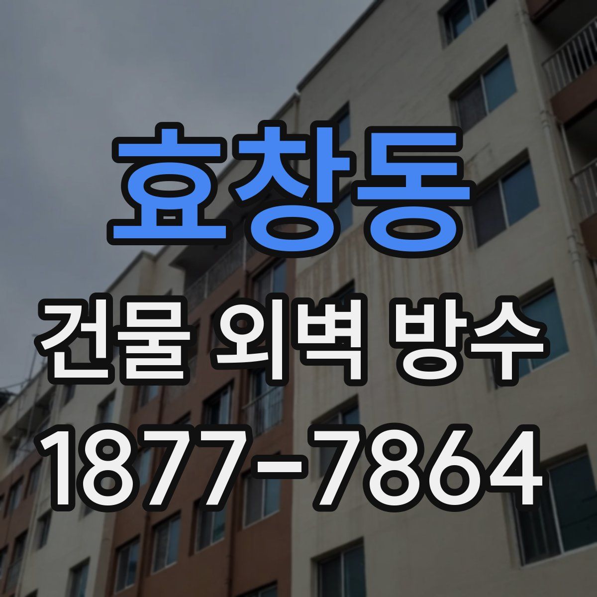 효창동 건물 외벽 방수