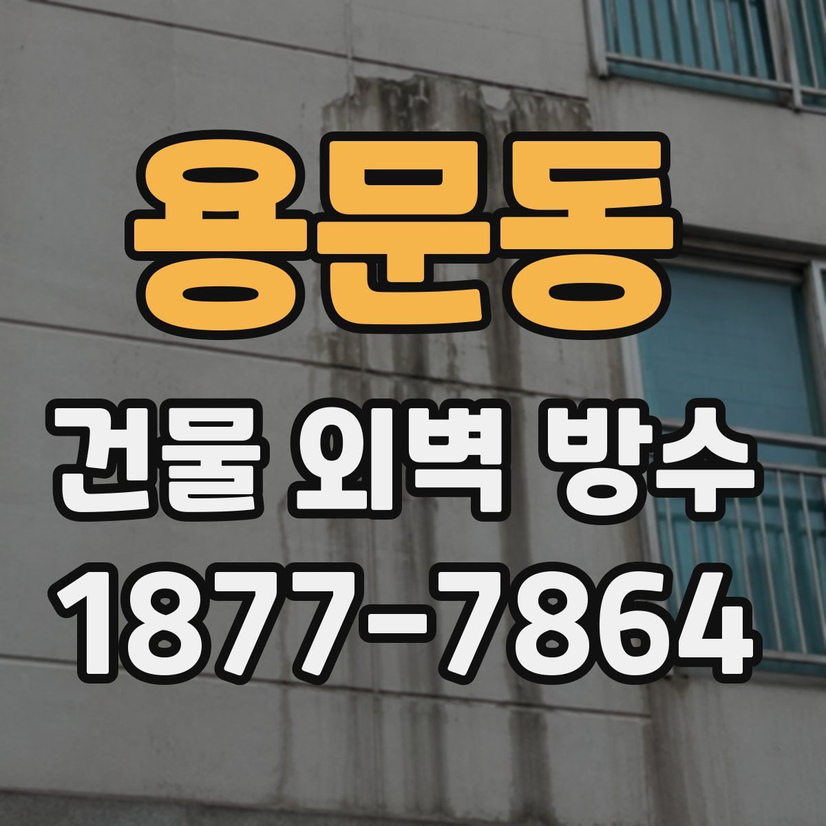 용문동 건물 외벽 방수