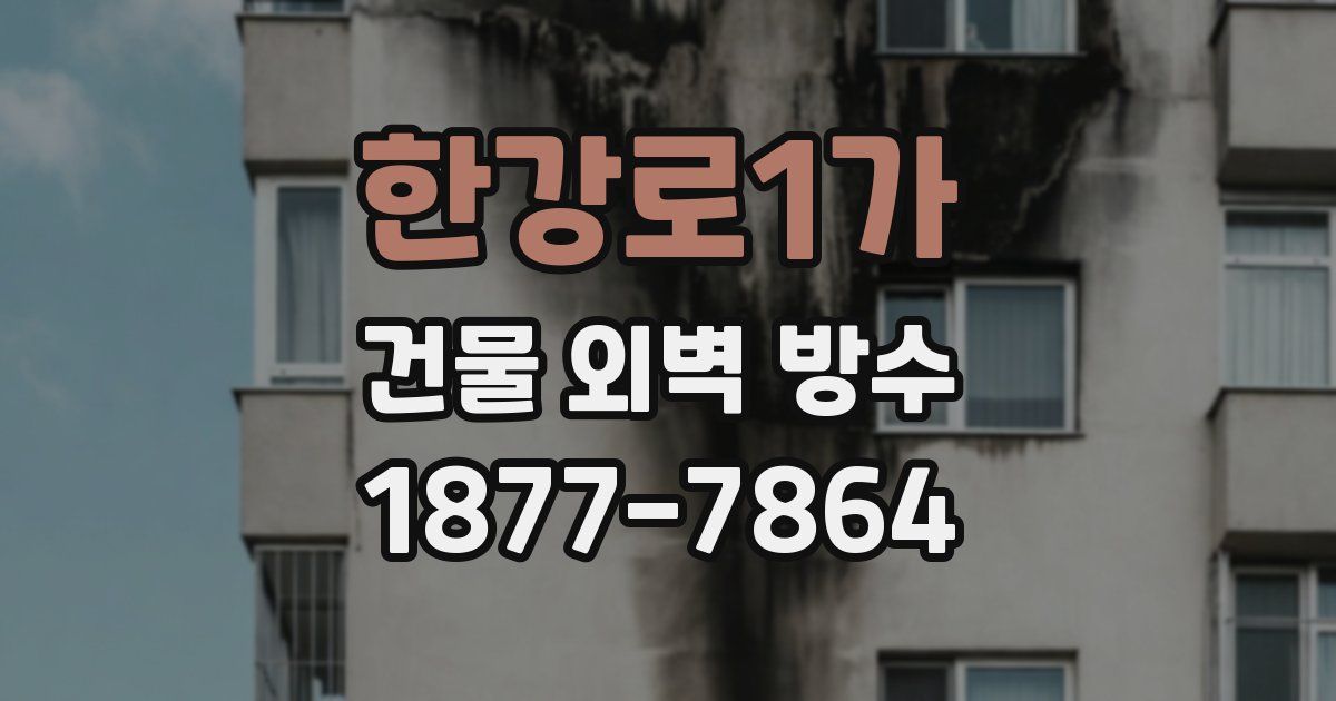 한강로1가 건물 외벽 방수