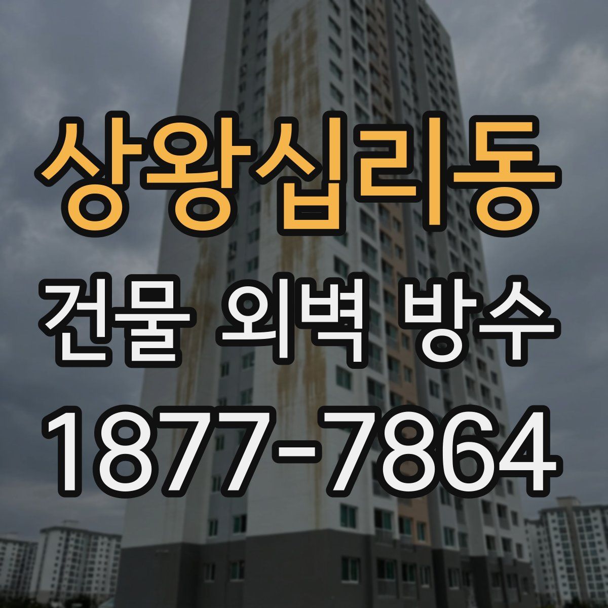상왕십리동 건물 외벽 방수