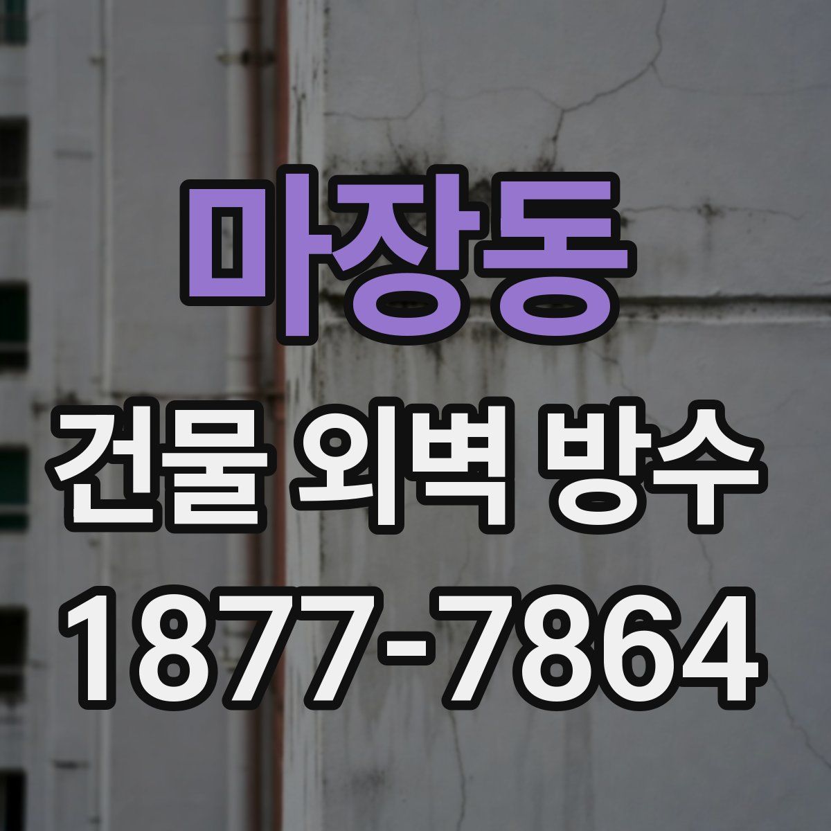 마장동 건물 외벽 방수
