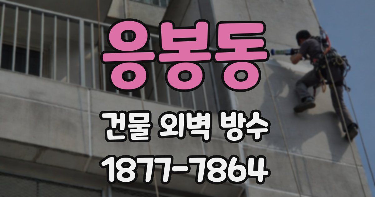 응봉동 건물 외벽 방수