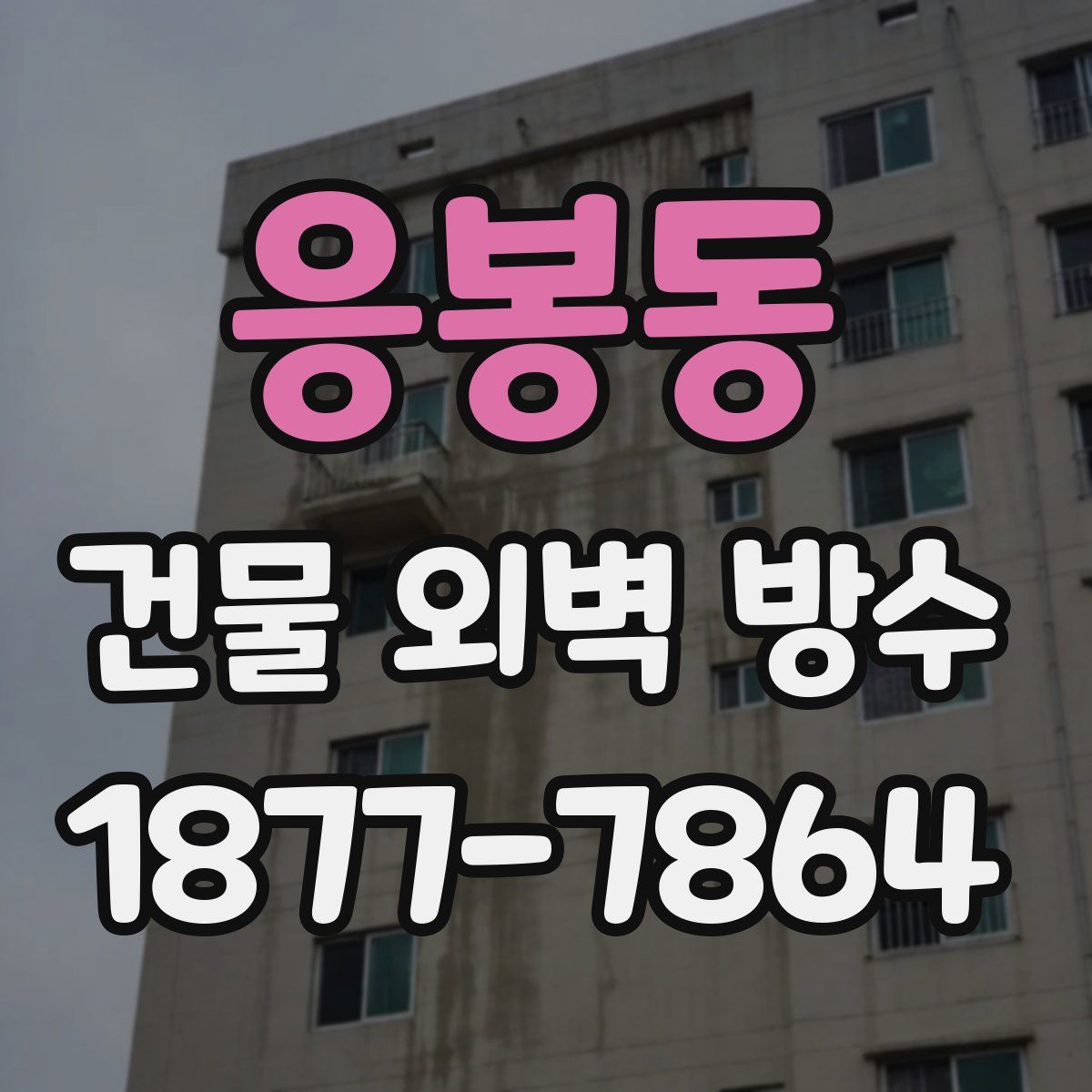 응봉동 건물 외벽 방수