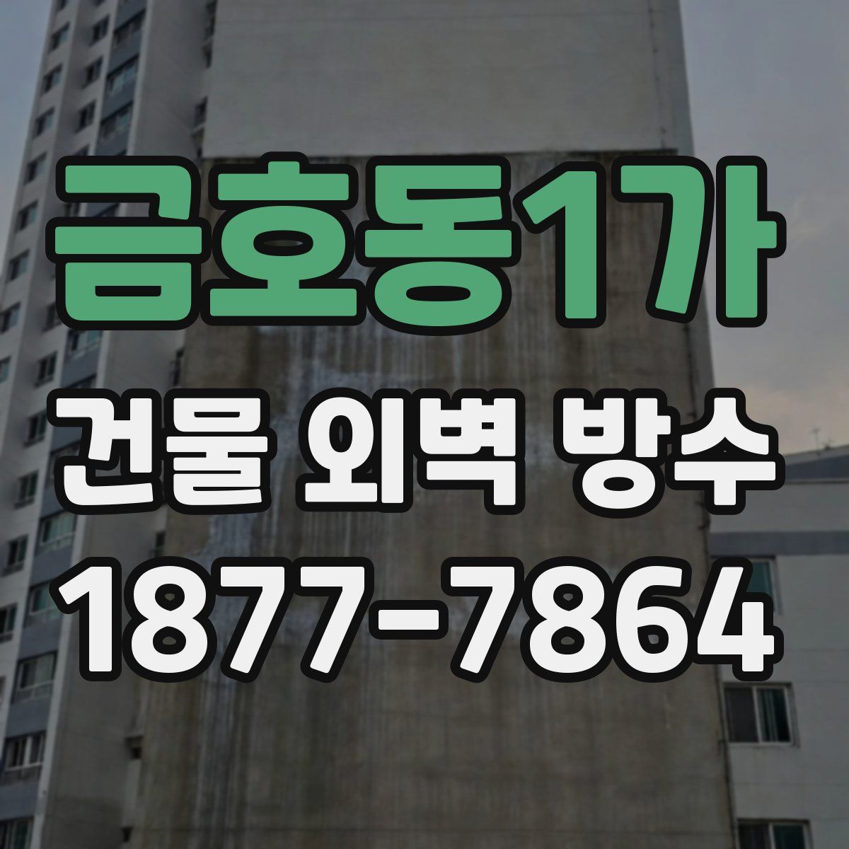 금호동1가 건물 외벽 방수