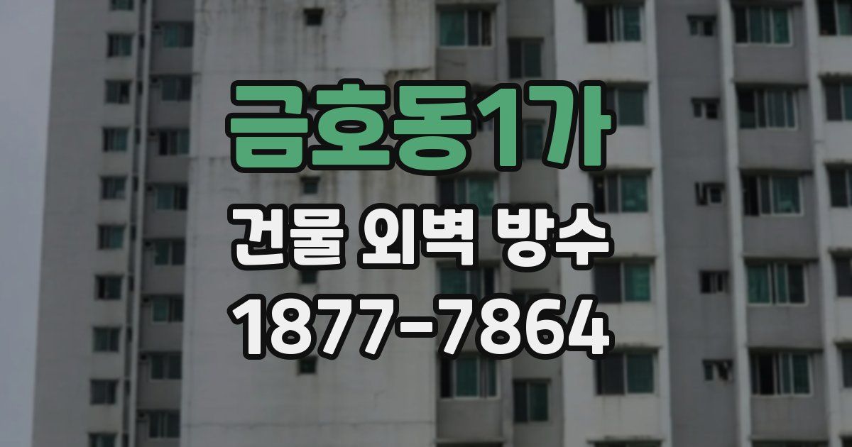 금호동1가 건물 외벽 방수