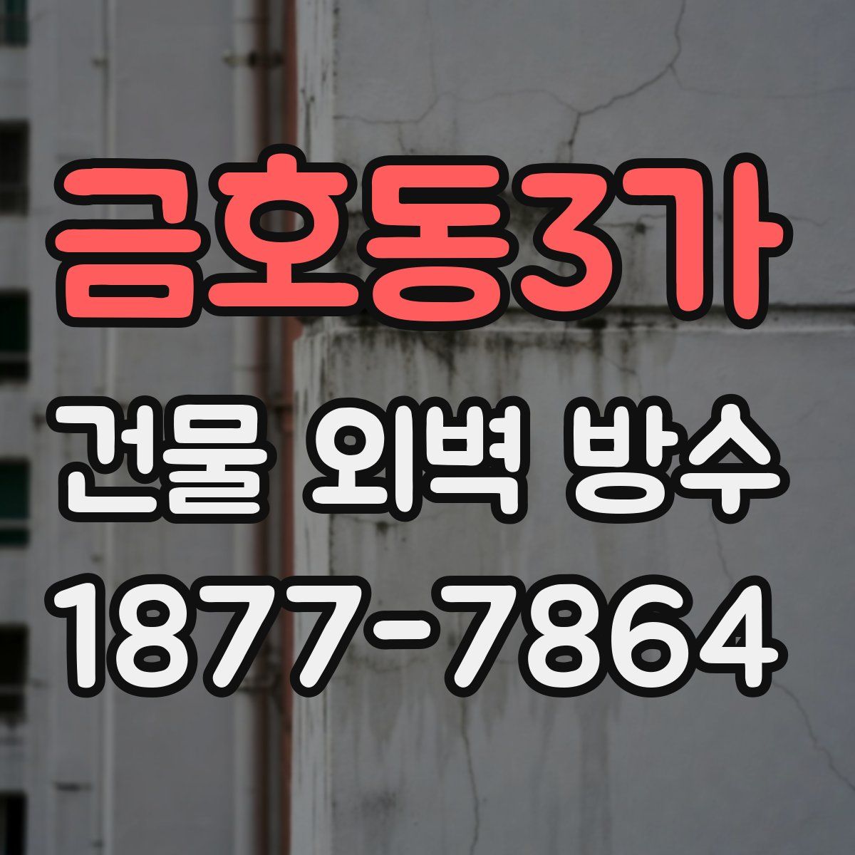 금호동3가 건물 외벽 방수