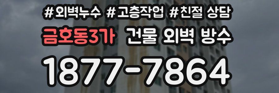 금호동3가 건물 외벽 방수