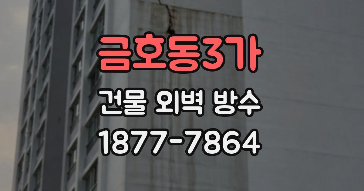 금호동3가 건물 외벽 방수