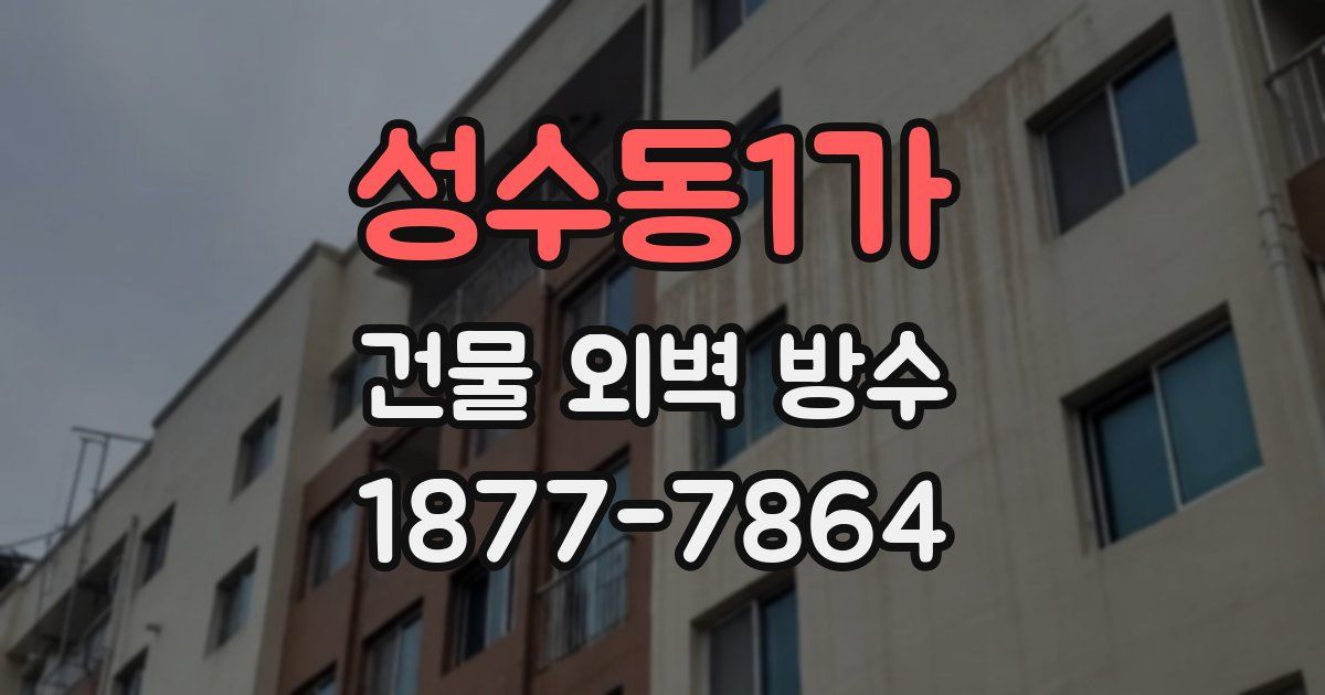 성수동1가 건물 외벽 방수