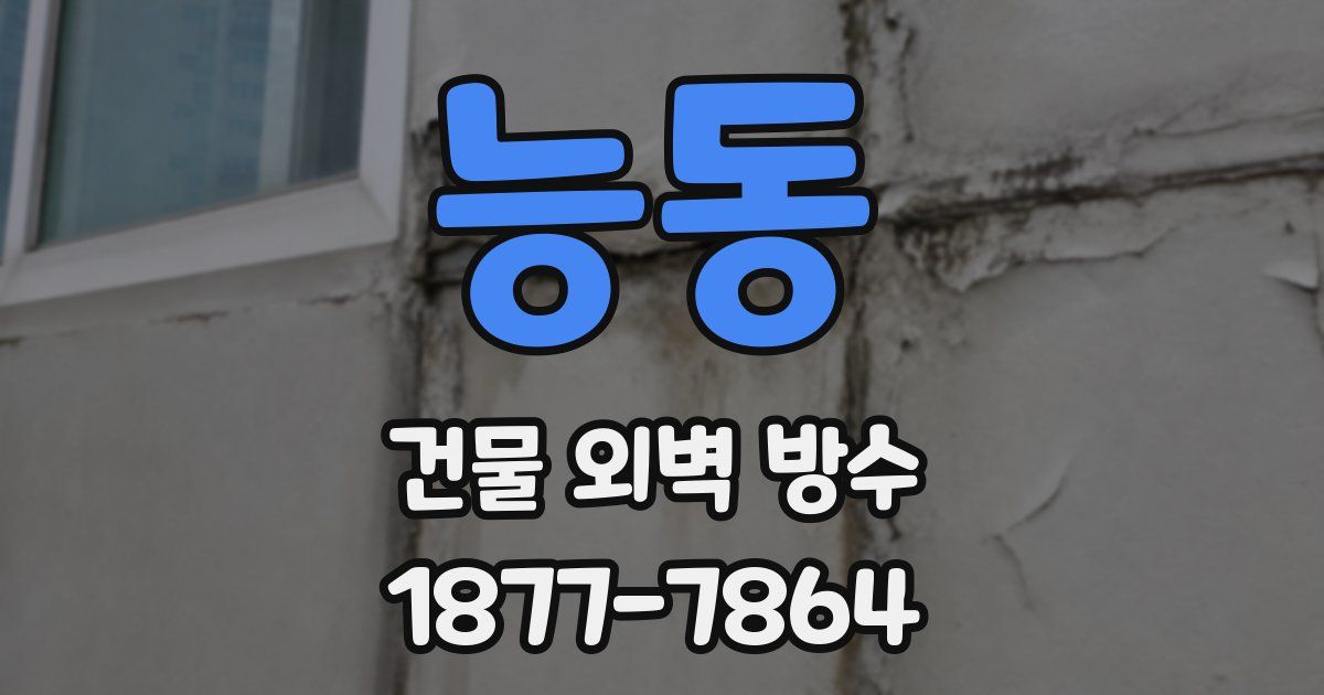 능동 건물 외벽 방수