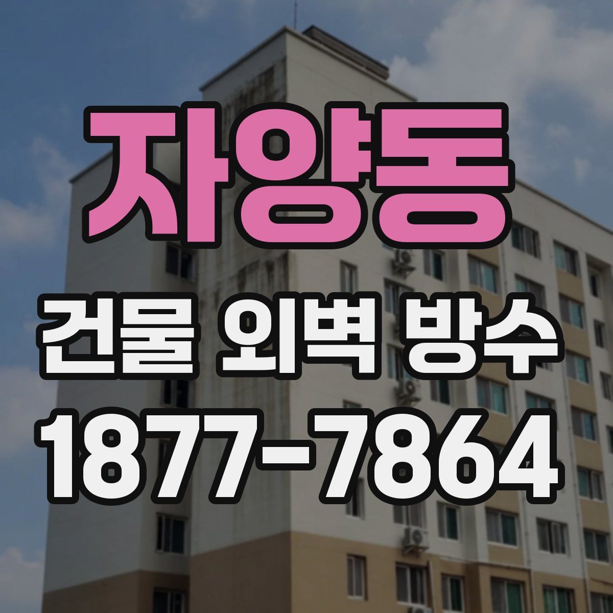 자양동 건물 외벽 방수