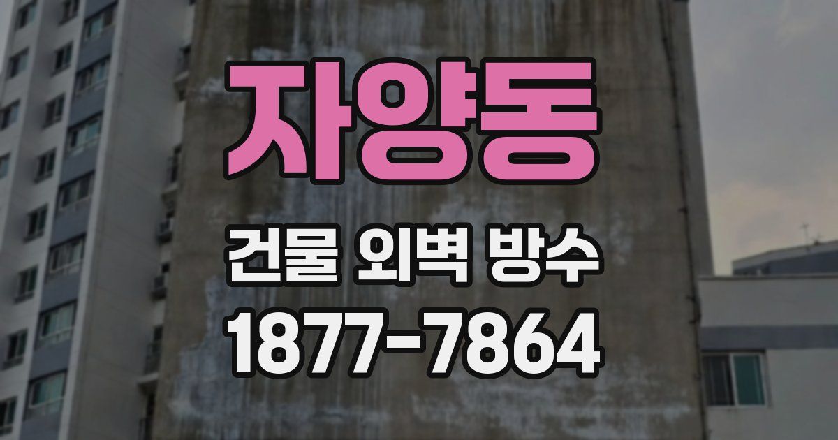 자양동 건물 외벽 방수