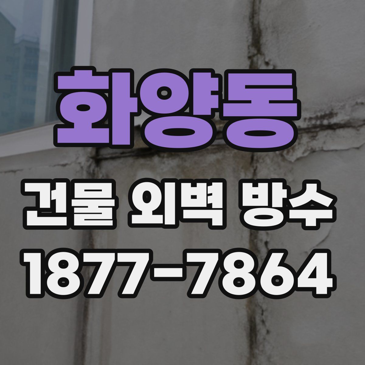 화양동 건물 외벽 방수