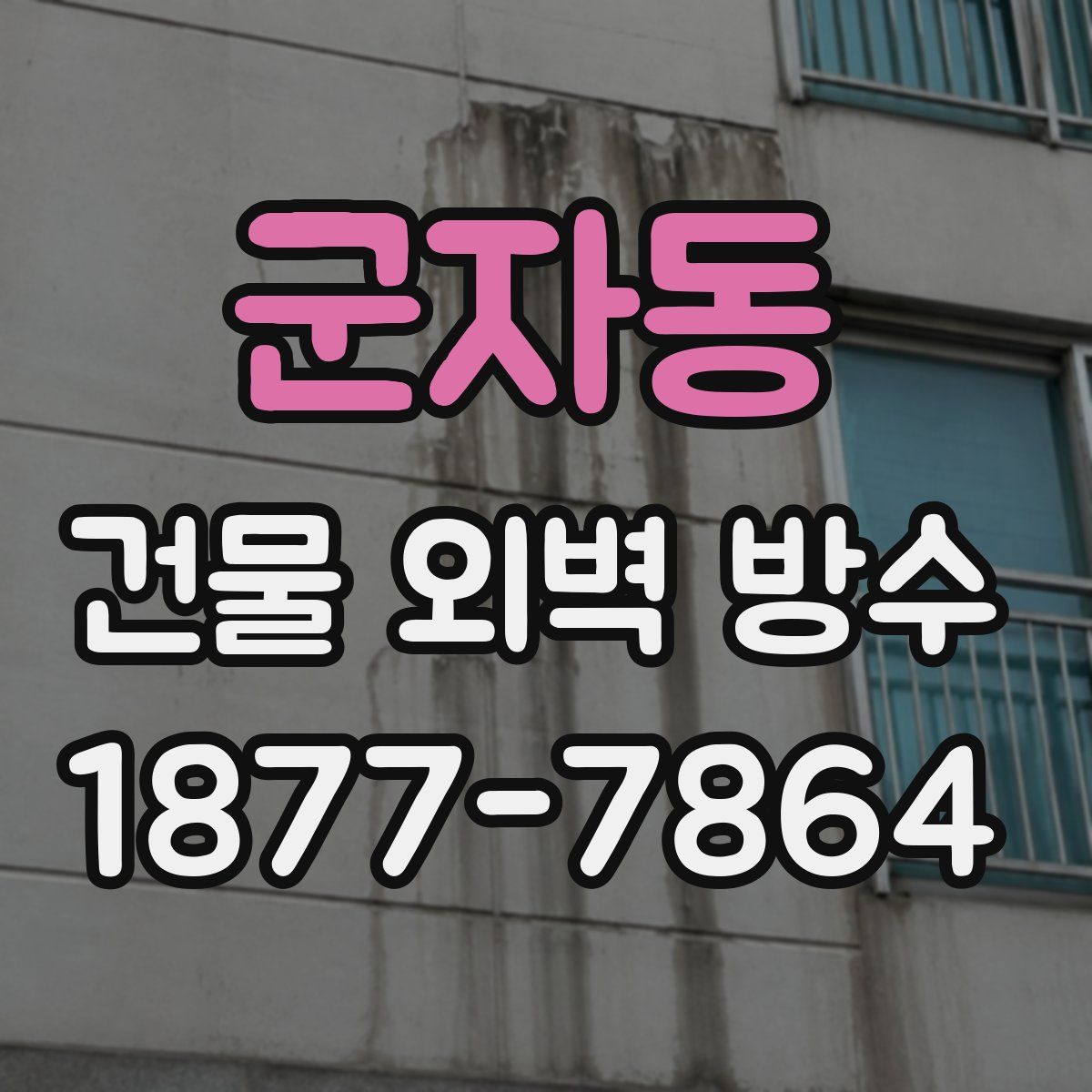 군자동 건물 외벽 방수