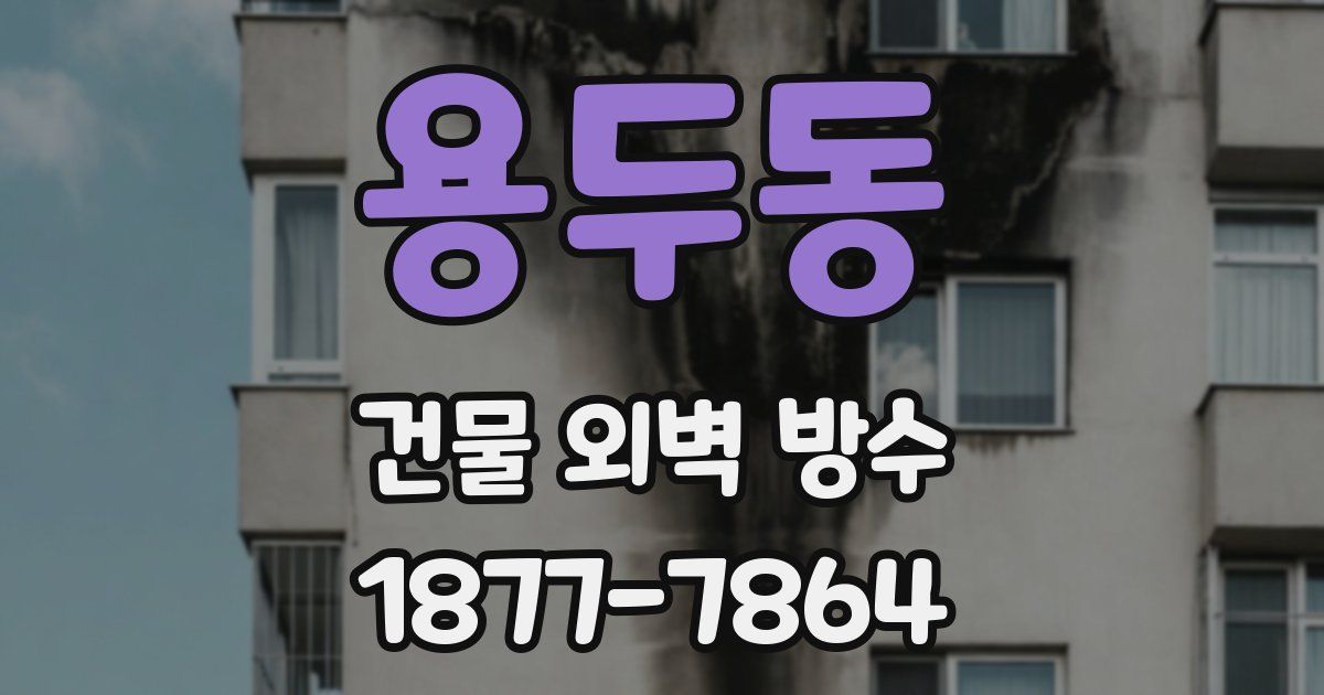 용두동 건물 외벽 방수
