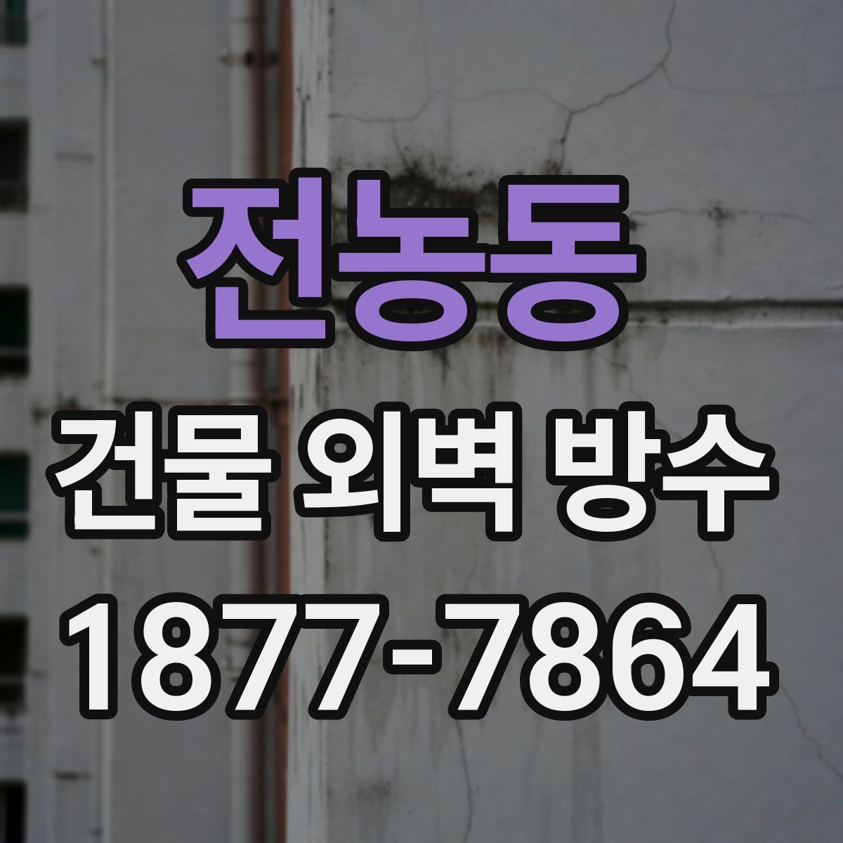 전농동 건물 외벽 방수