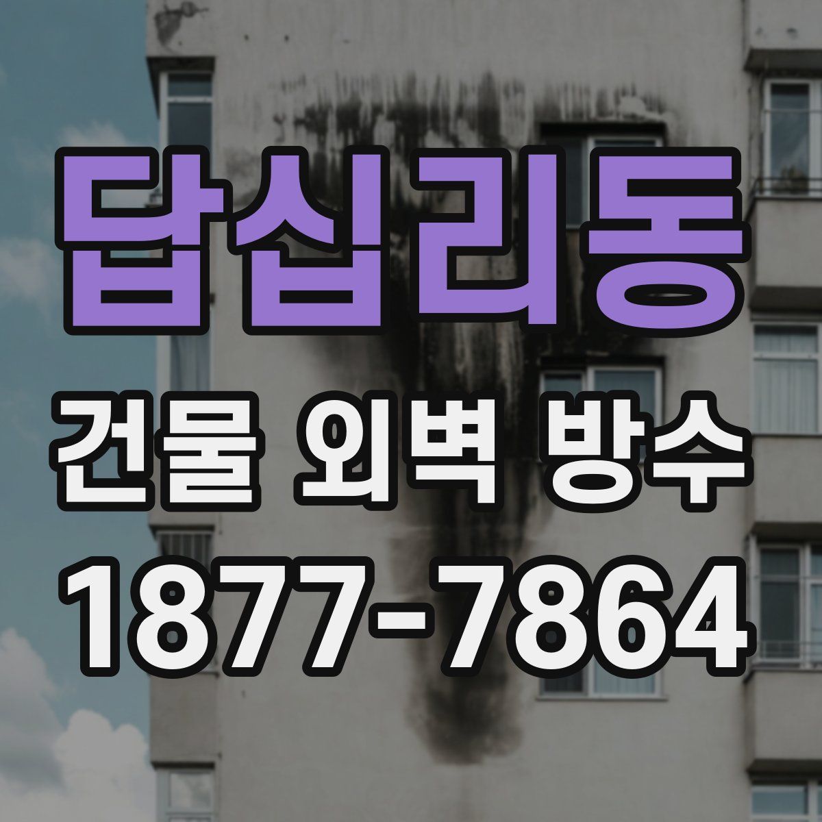 답십리동 건물 외벽 방수