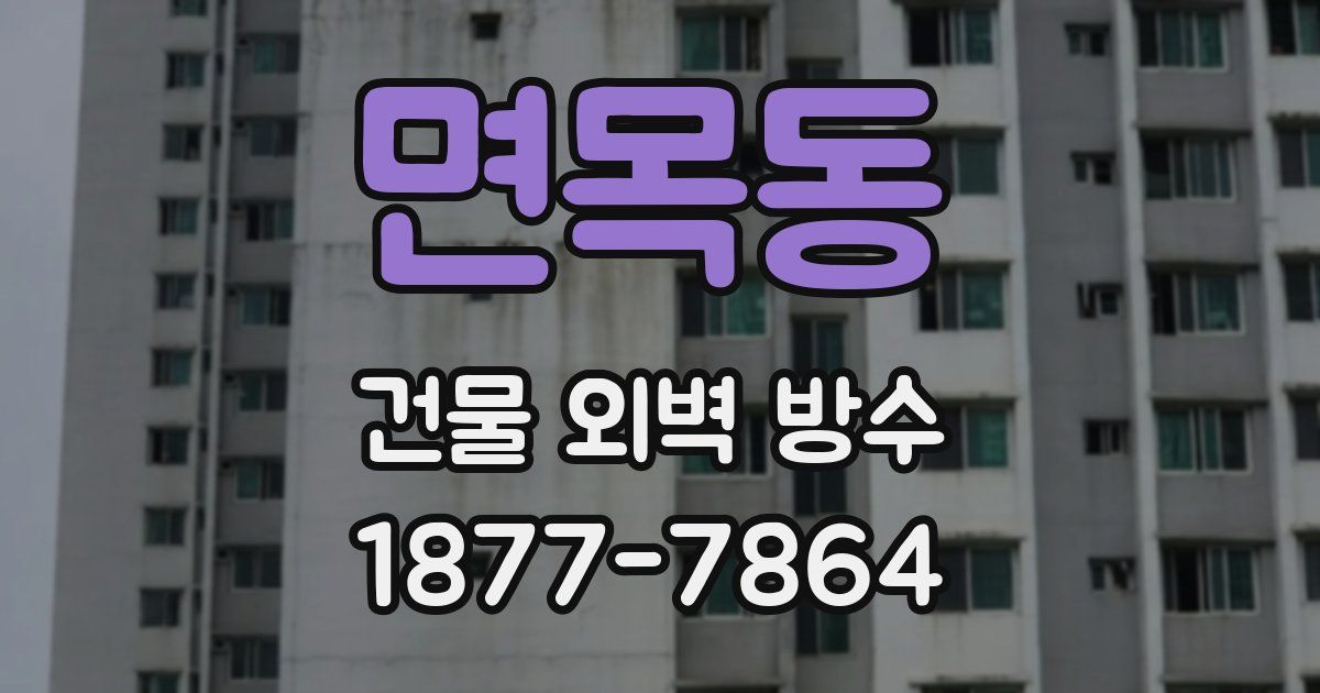 면목동 건물 외벽 방수