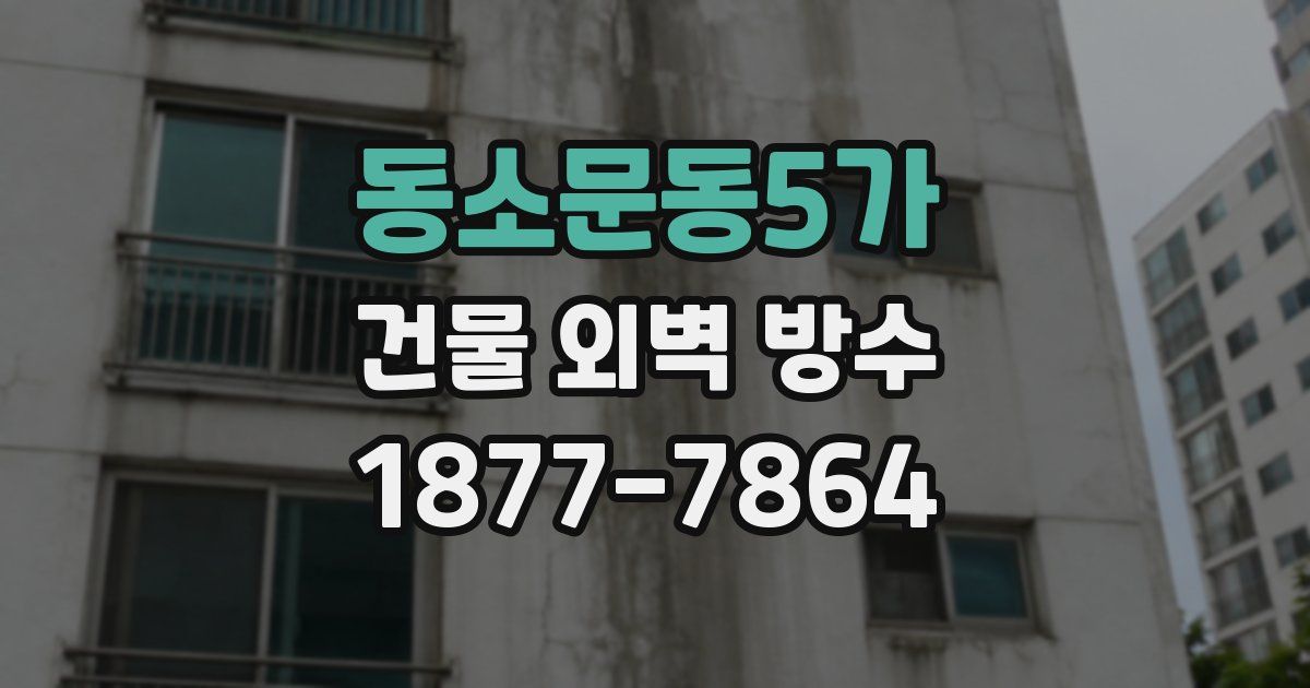 동소문동5가 건물 외벽 방수