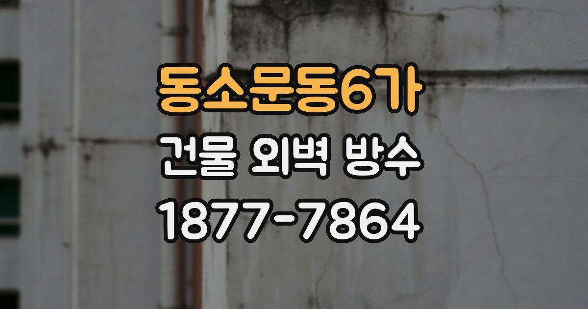 동소문동6가 건물 외벽 방수