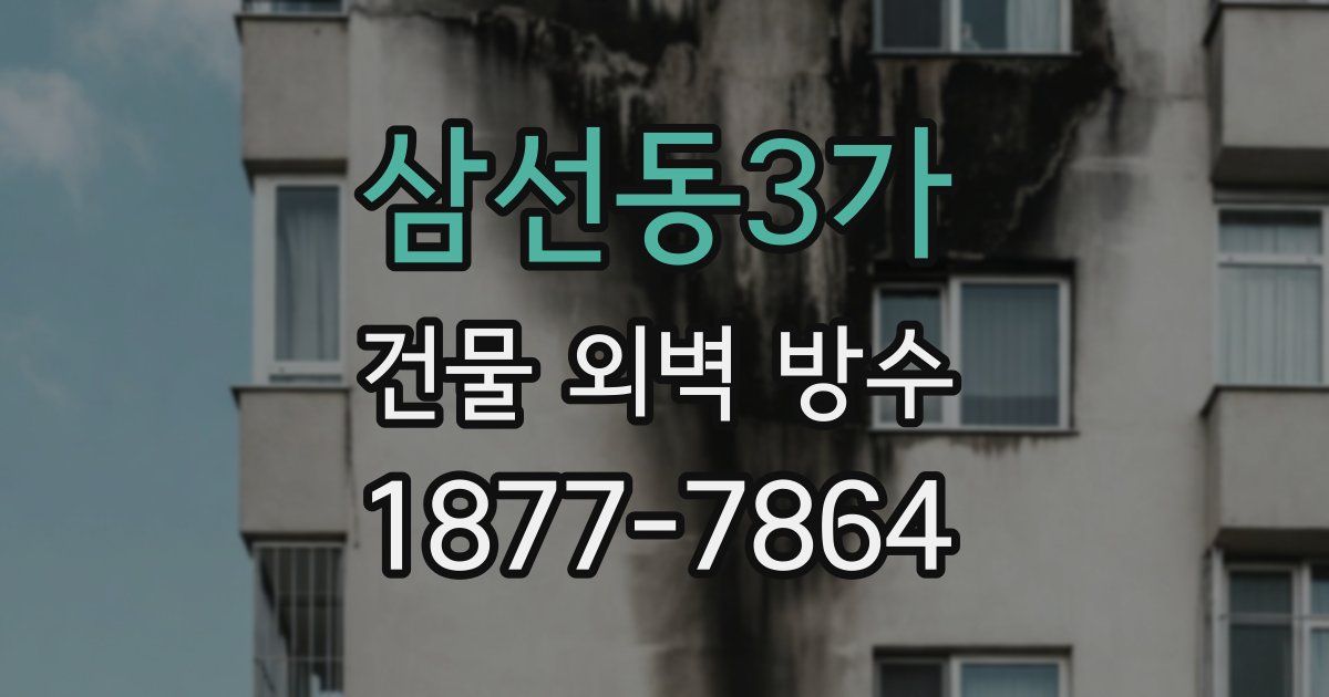 삼선동3가 건물 외벽 방수
