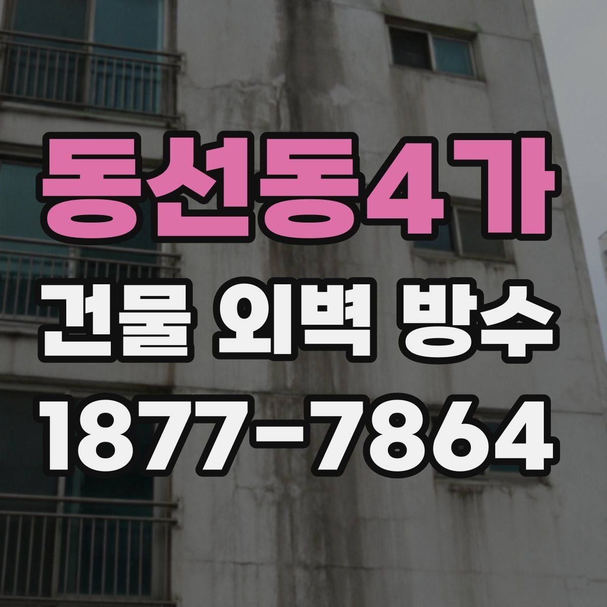동선동4가 건물 외벽 방수 시공 전후 비교로 보는 효과