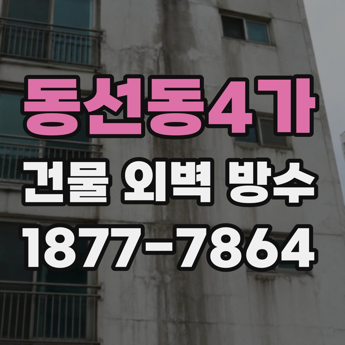 동선동4가 건물 외벽 방수