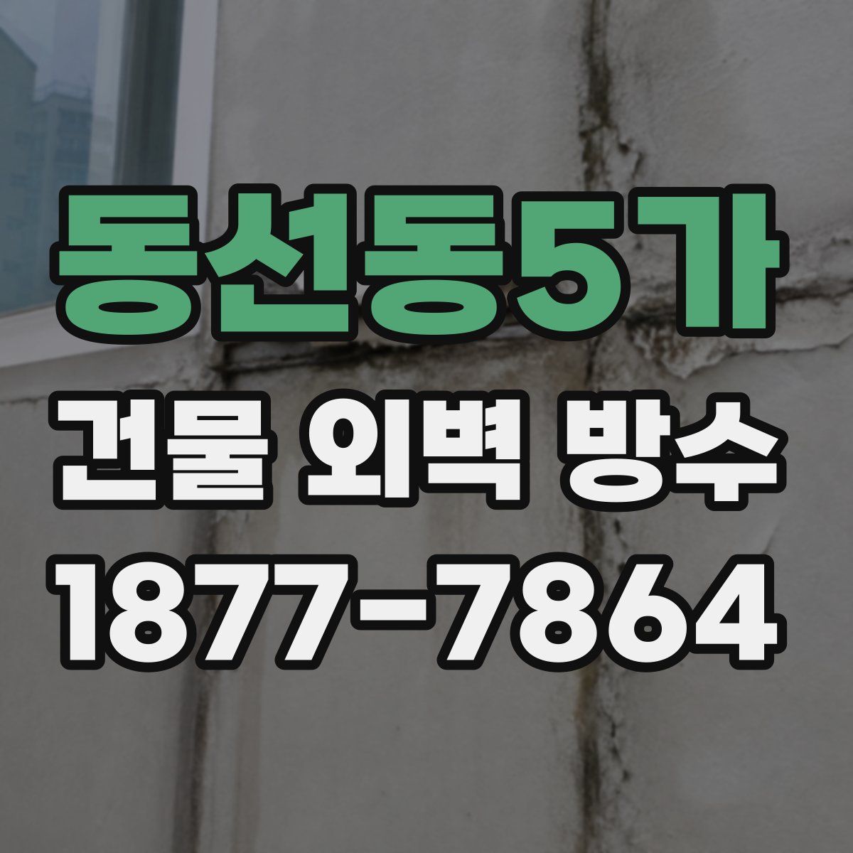동선동5가 건물 외벽 방수