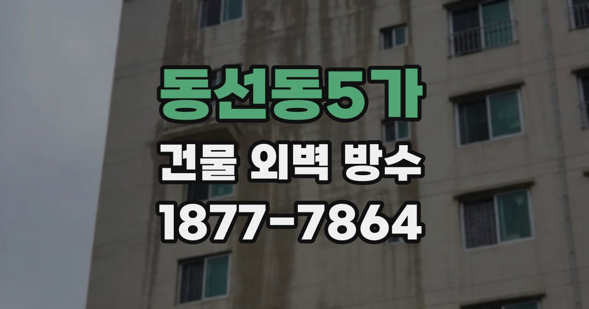 동선동5가 건물 외벽 방수