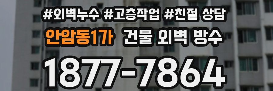 안암동1가 건물 외벽 방수