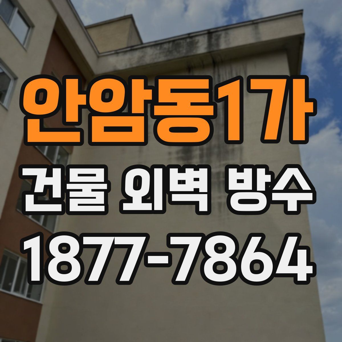 안암동1가 건물 외벽 방수