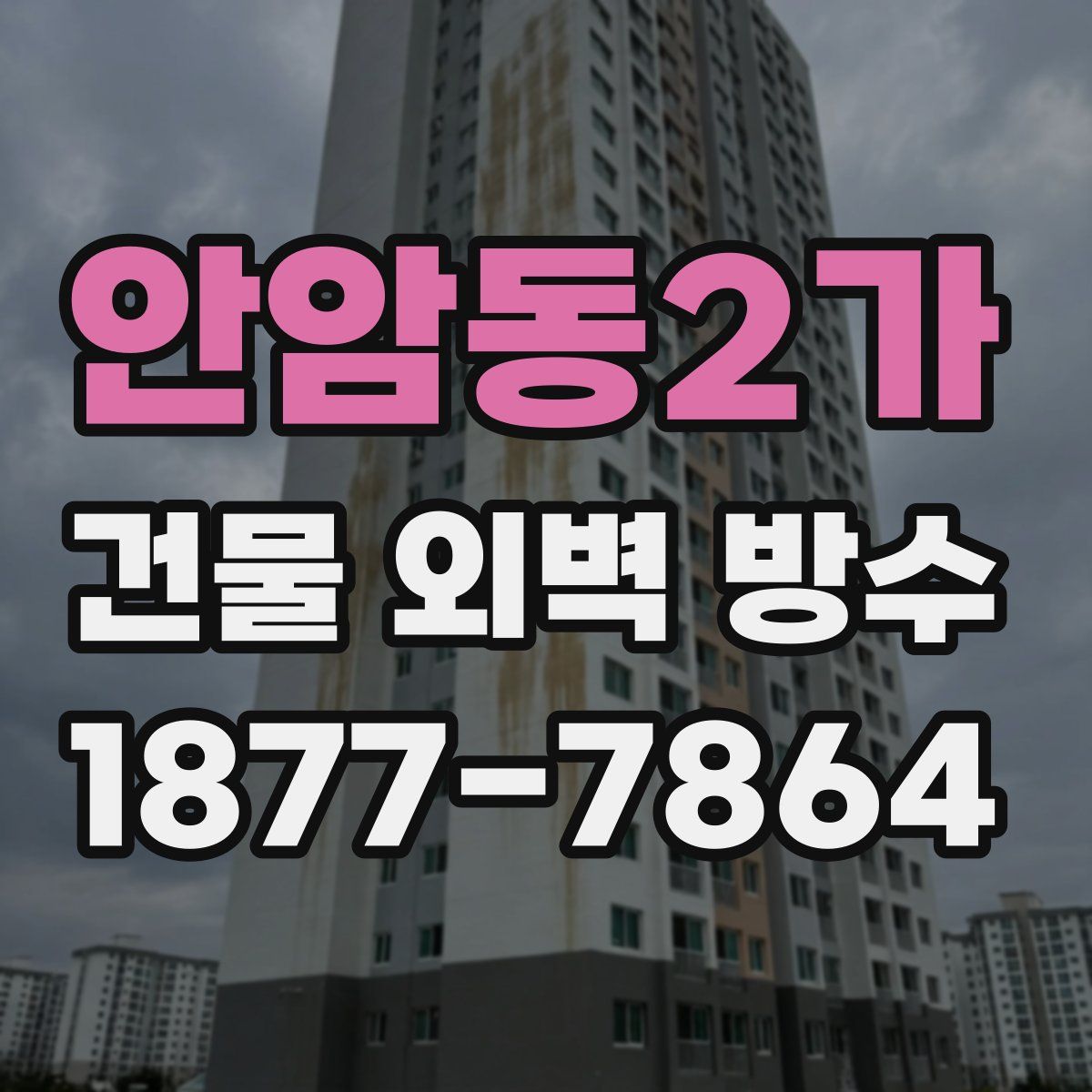 안암동2가 건물 외벽 방수