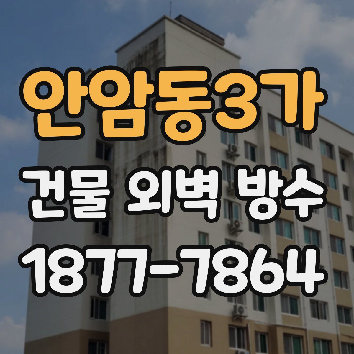 안암동3가 건물 외벽 방수