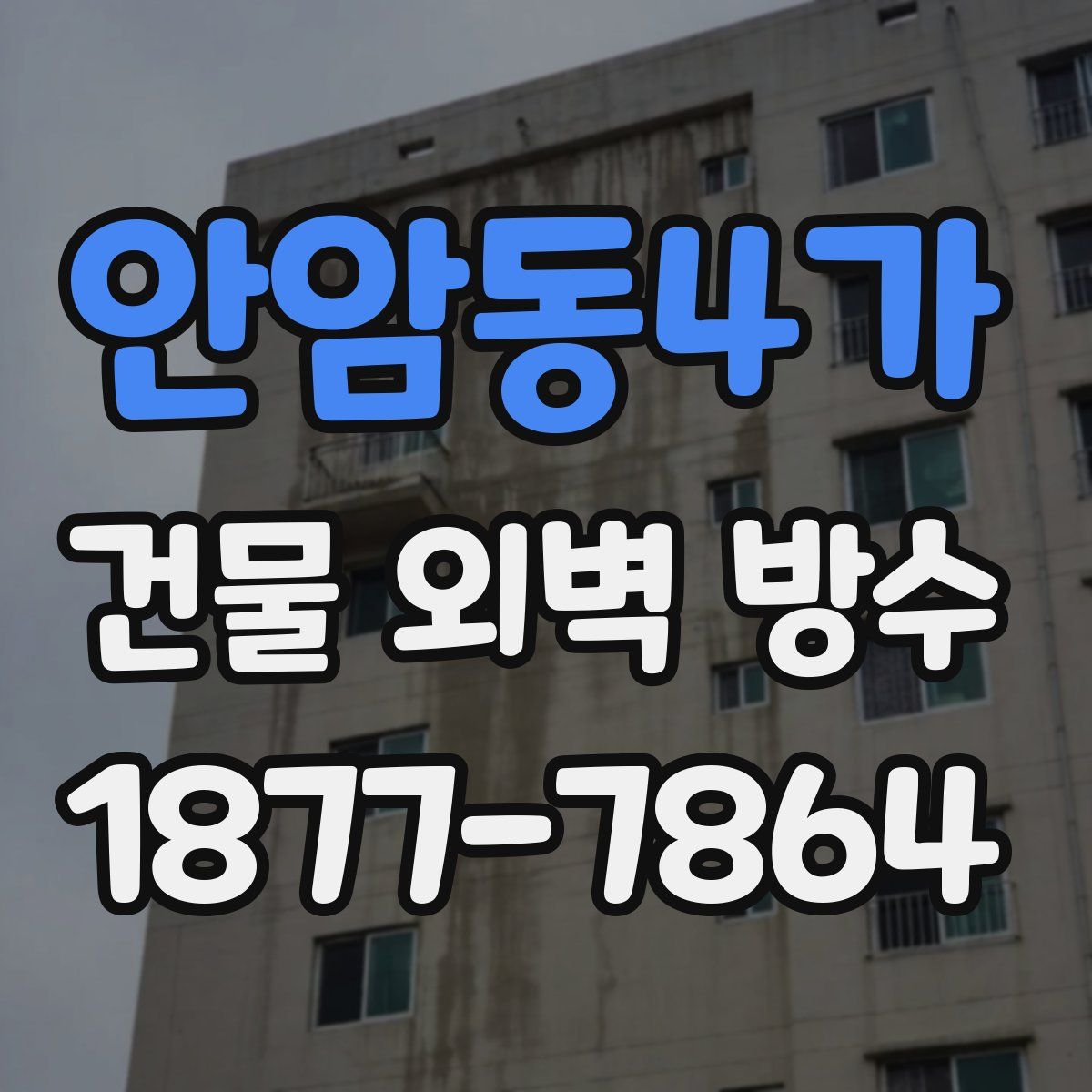 안암동4가 건물 외벽 방수
