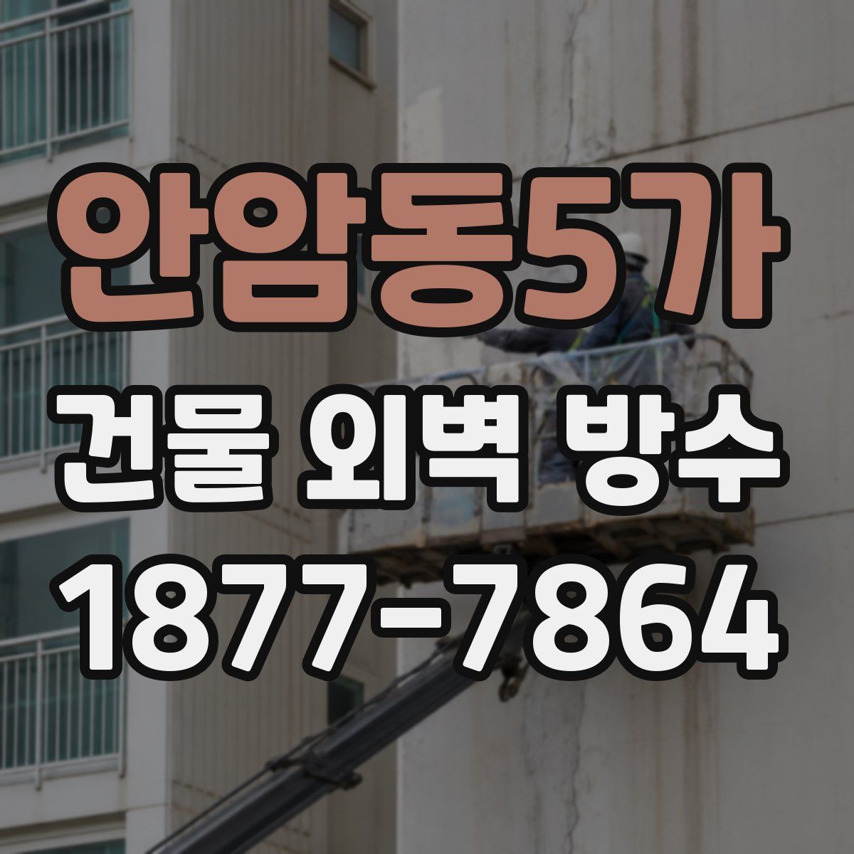 안암동5가 건물 외벽 방수