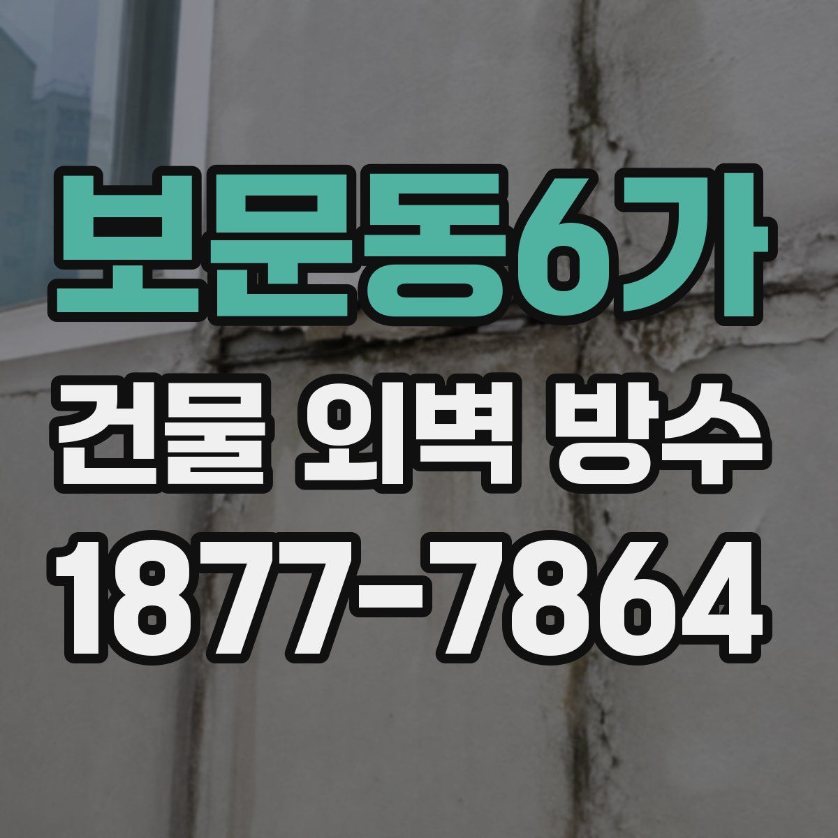 보문동6가 건물 외벽 방수