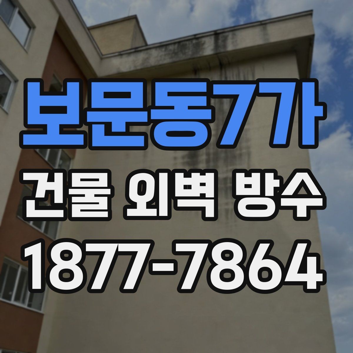 보문동7가 건물 외벽 방수 현장 사진으로 보는 주요 포인트